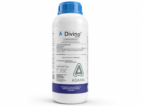 DIVINO 250