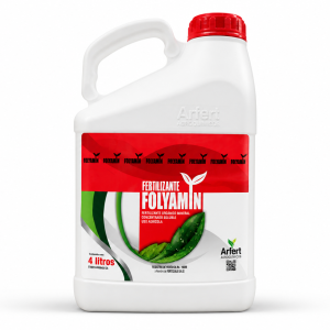 FOLYAMIN