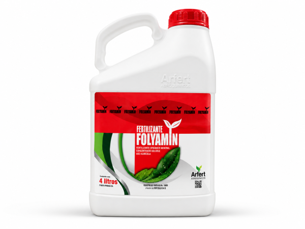FOLYAMIN