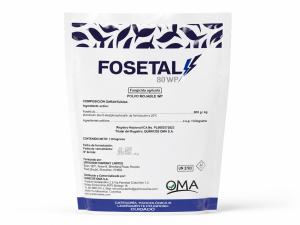 FOSETAL