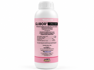 GLIBOR