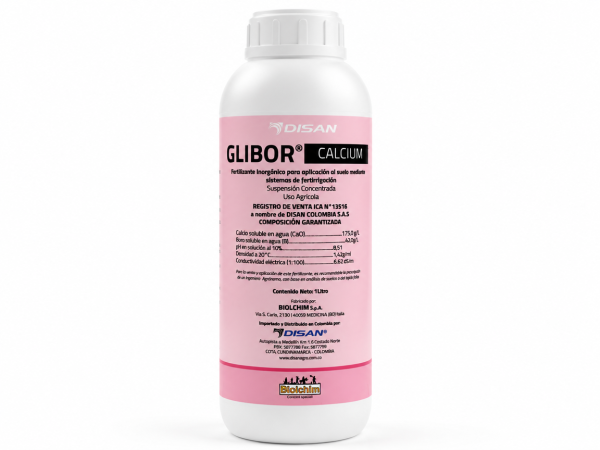 GLIBOR