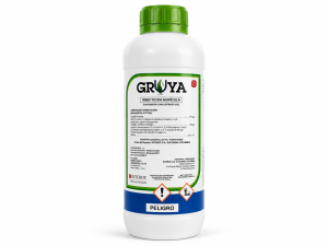 GRUYA