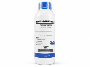 KASUGAMICINA
