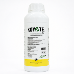 KOYOTE