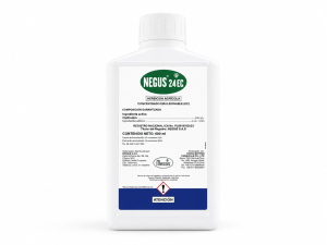 NEGUS 24