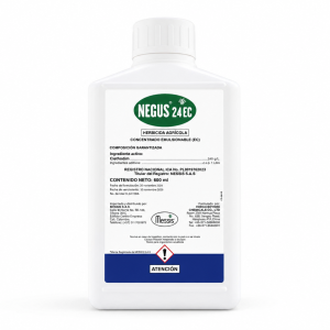 NEGUS 24