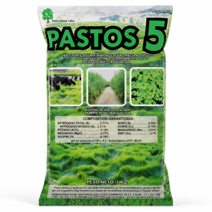 PASTOS 5