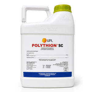 POLYTHION