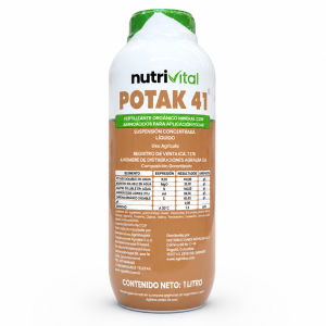 POTAK 41
