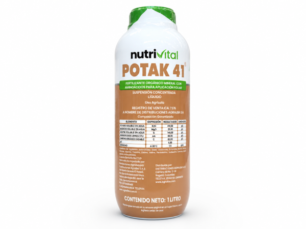 POTAK 41
