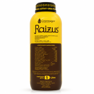 RAIZUS