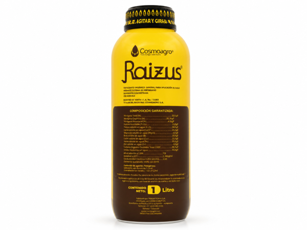 RAIZUS