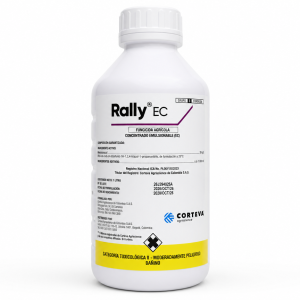 RALLY EC