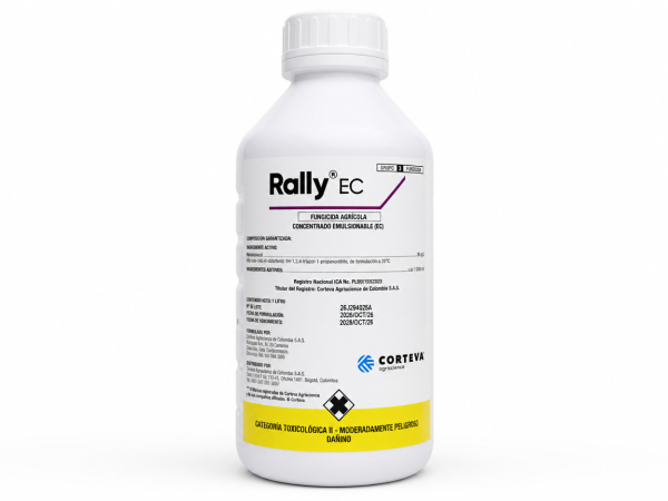 RALLY EC