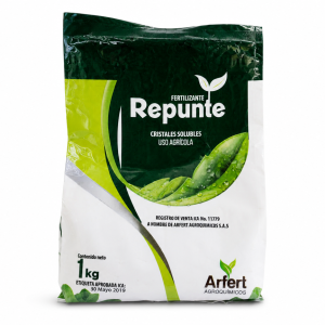 REPUNTE