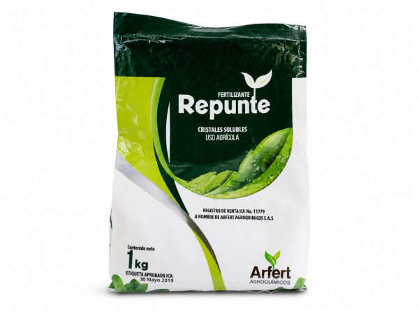REPUNTE