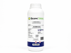 SCORE 250 EC