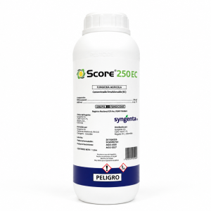 SCORE 250 EC