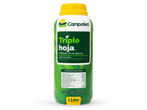 TRIPLE HOJA