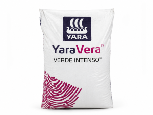 VERDE INTENSO